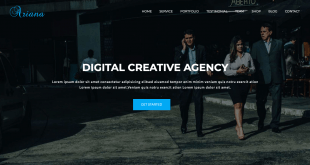 Ariana - Digital Agency One Page WordPress Theme