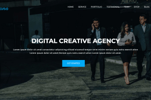 Ariana - Digital Agency One Page WordPress Theme
