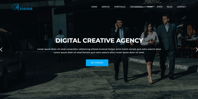 Ariana - Digital Agency One Page WordPress Theme