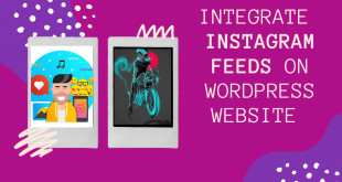 instagram-integration-on-wordpress-website.png