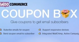 woocomerce coupon box