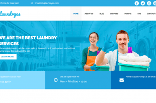 Laundrys-Premium-WordPress-Theme