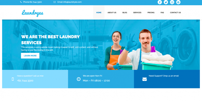 Laundrys-Premium-WordPress-Theme