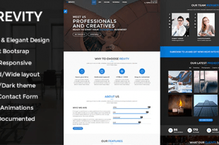 Revity - WordPress One Page Parallax Creative Business Theme