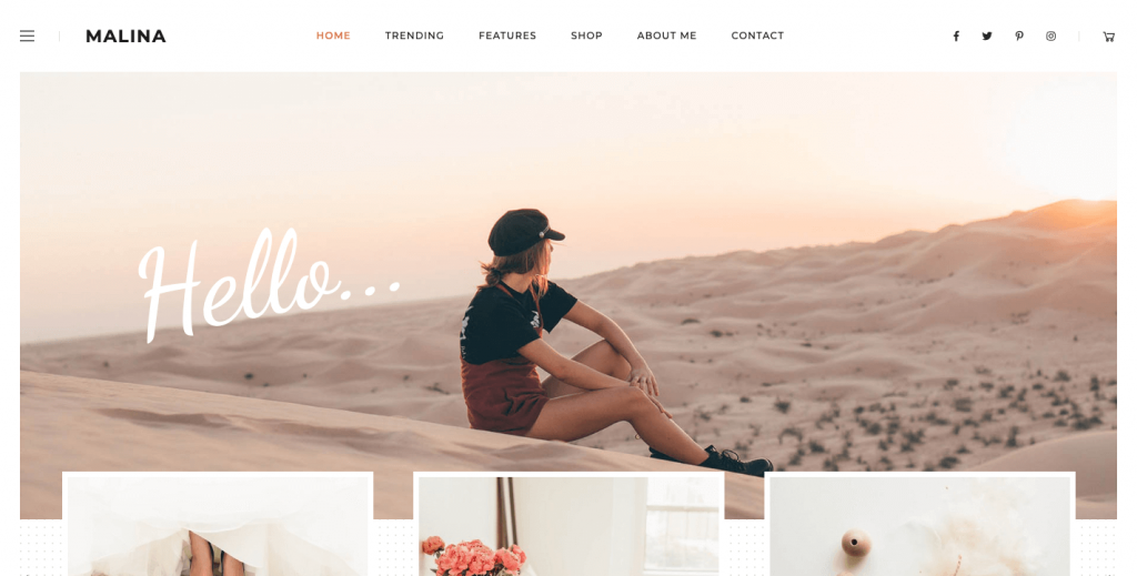 Malina-WordPress Blog Theme