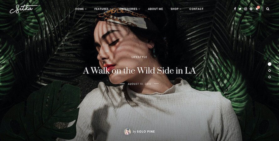 Sitka - a WordPress Blog Theme