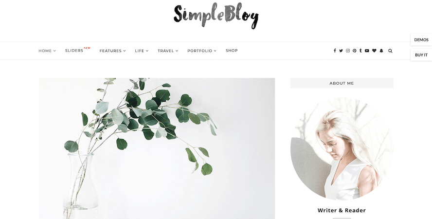 Soledad – The Best Simple Easy WordPress Theme – Just another Soledad