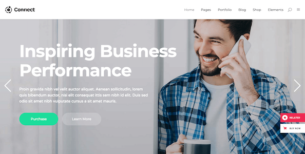 WordPress IT solution theme